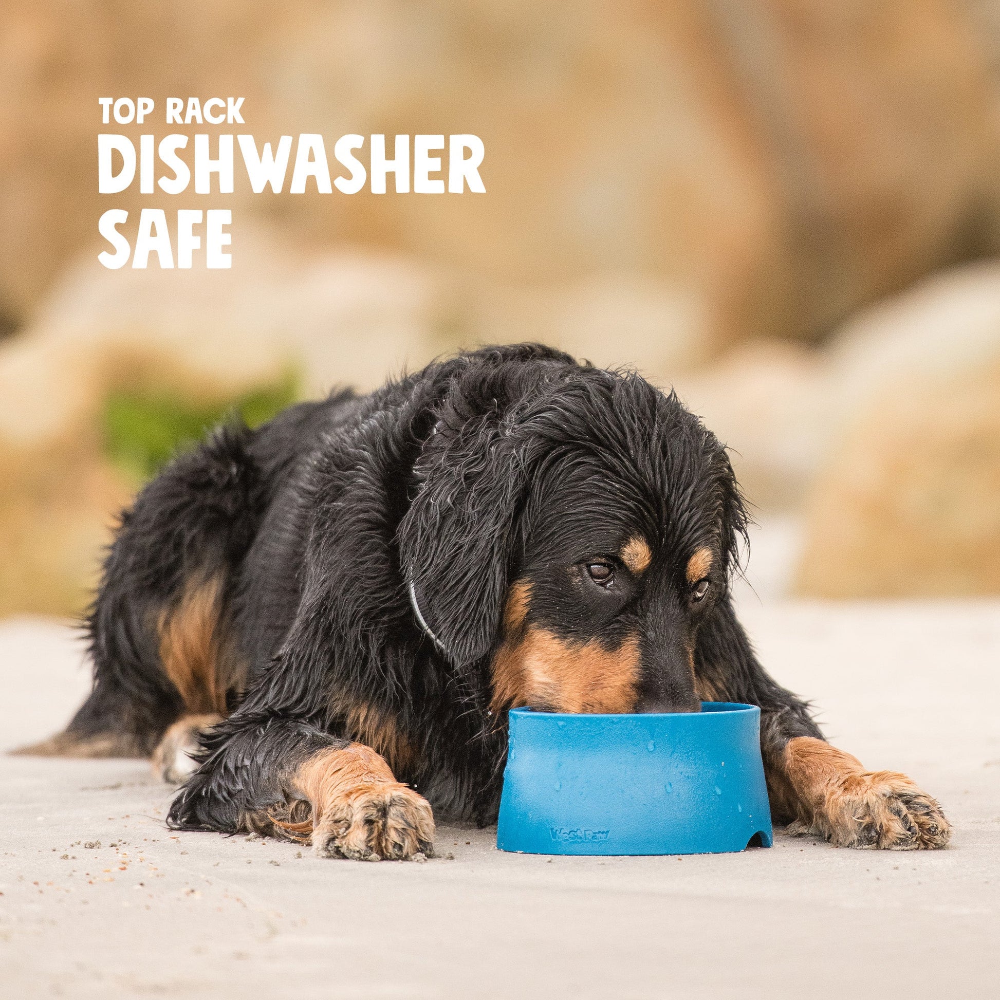 Pet Bed Bed Non-Slip Bowl for for Daily Use for Comfort - lifestyle product image for pet bed