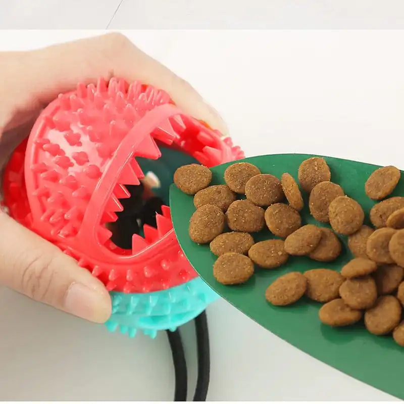 Silicone Suction Cup Dog Toy - Mimarta
