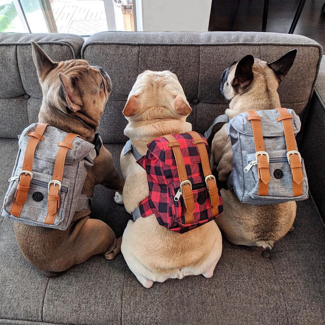 Mini Adventure Dog Backpack – Stylish & Functional