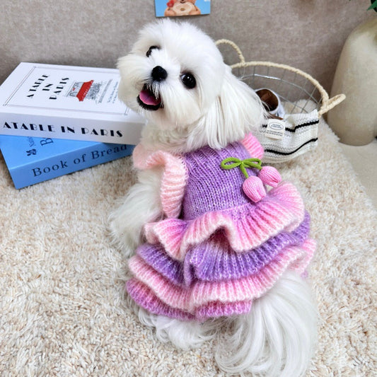 Dog Sweater Dress Purple Pink Gradient Knit