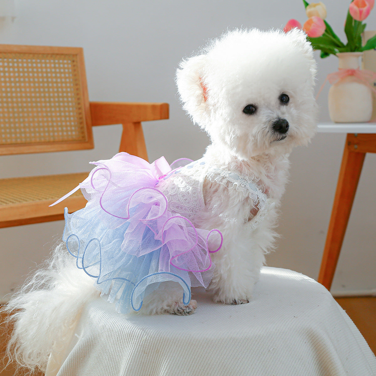 Dog Tutu Dress with Lace Corset & Ombre Tulle Skirt