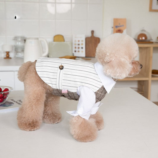 Dog suit vest