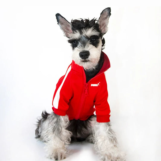 Dog Winter Hoodie - All Sizes from Small to 4XL - Purrfect Pet Kingdom