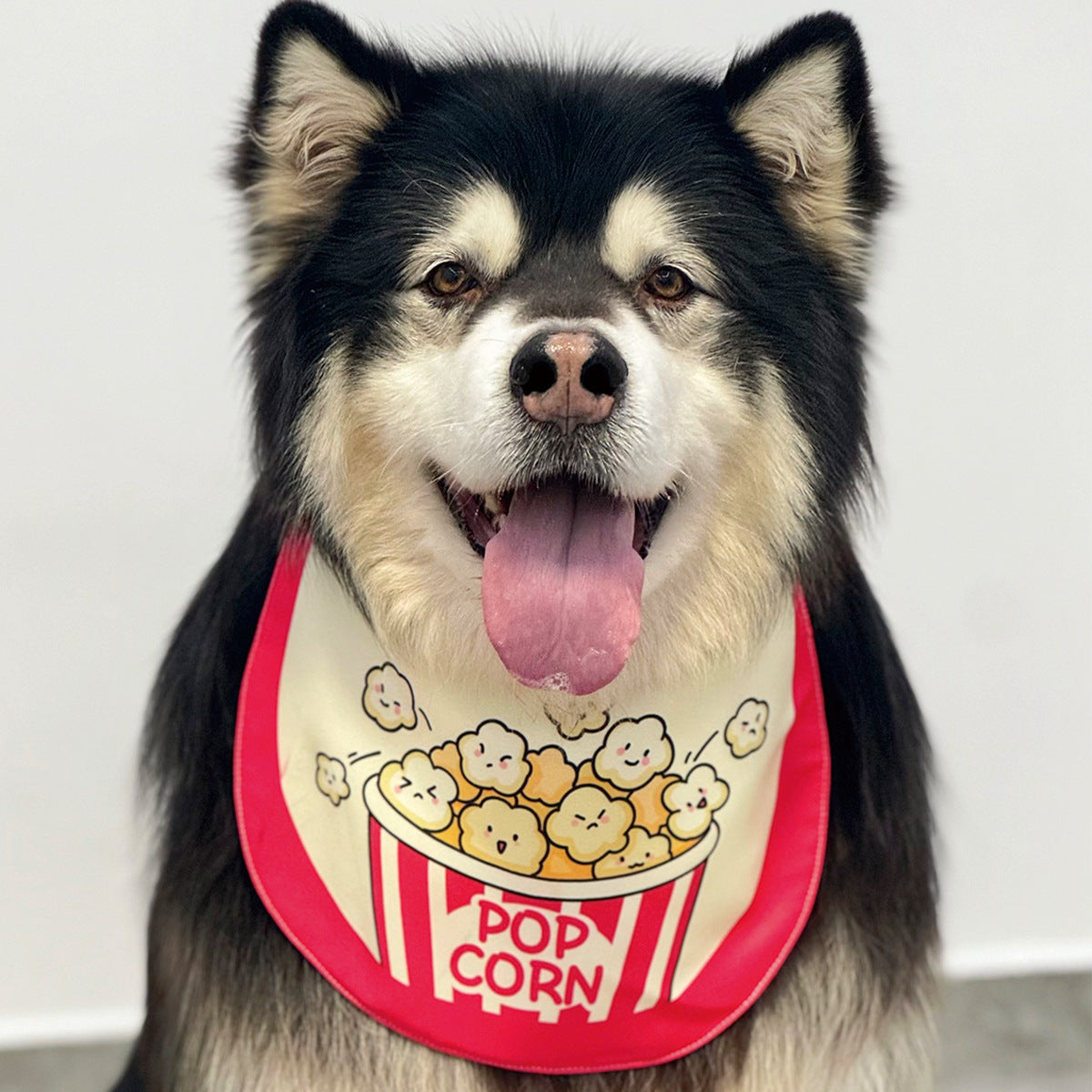 Funny Cartoon Dog Bandana Bibs (4 Designs)