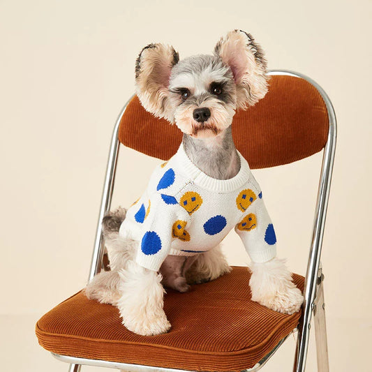 Dog sweater smile
