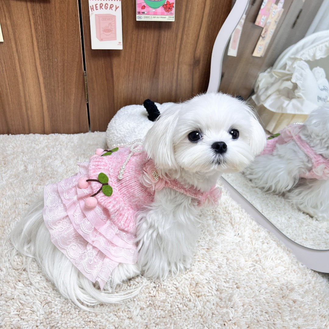 Dog Sweater Dress Pink Cherry