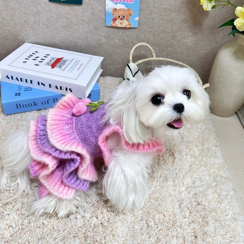 Dog Sweater Dress Purple Pink Gradient Knit