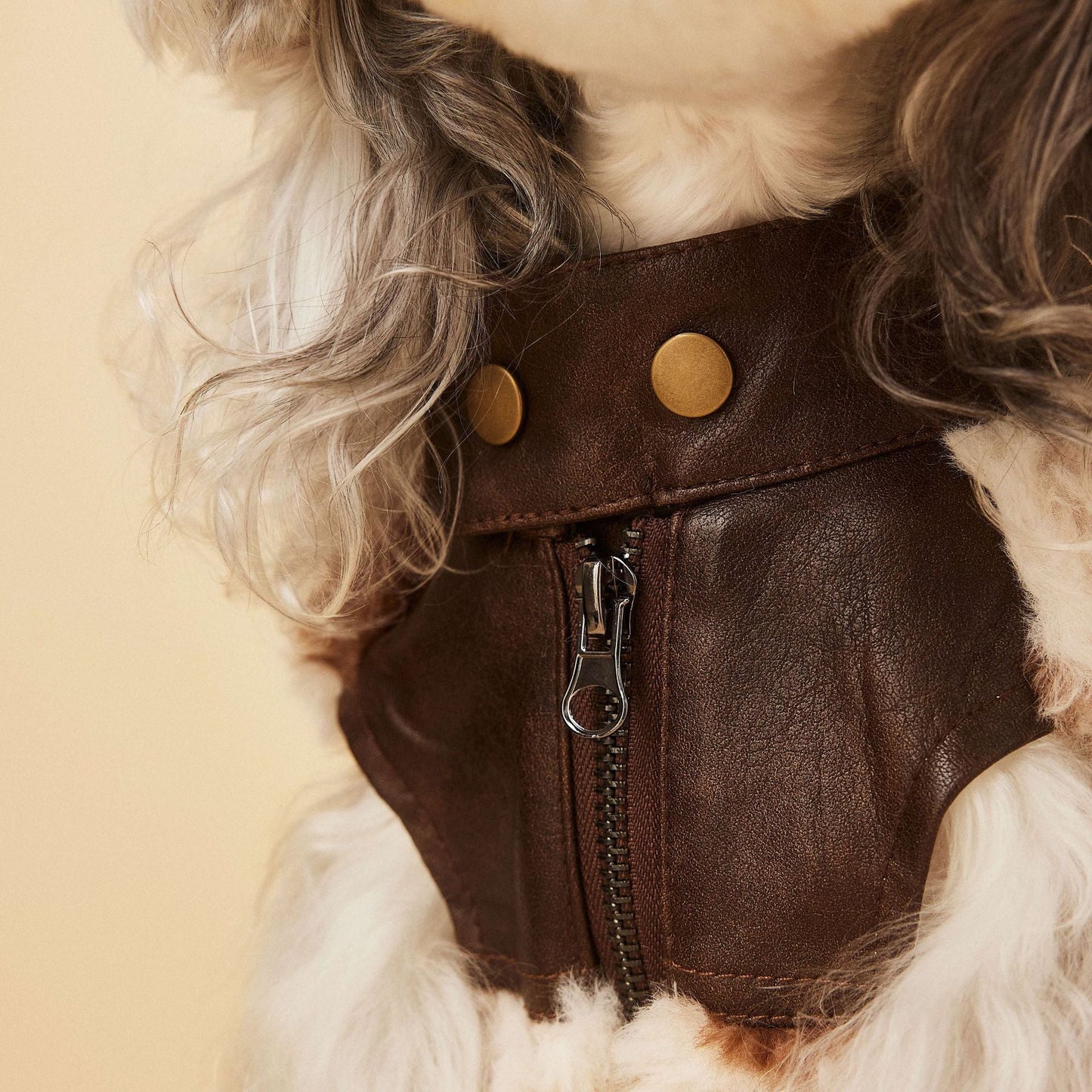Cow Print Faux Shearling Dog Jacket