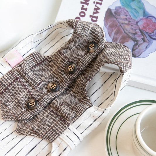 Dog suit vest