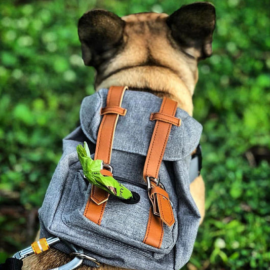 Mini Adventure Dog Backpack – Stylish & Functional