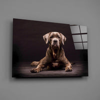 Dog Glass Wall Art