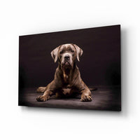Dog Glass Wall Art