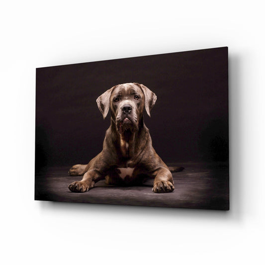 Dog Glass Wall Art