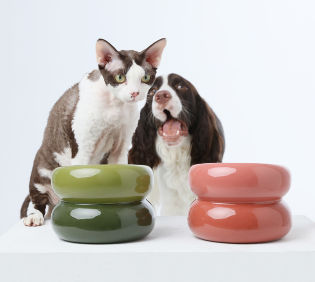 Ergonomic Elevated Pet Bowl for Healthy Daily Meal Feeding