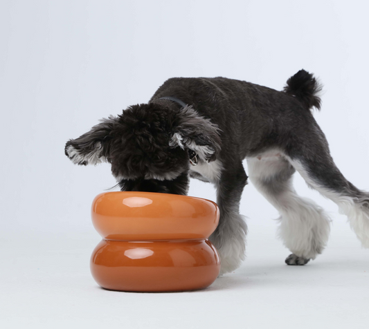 Amber Ceramic Ergonomic Elevated Pet Bowl for Cats and Dogs