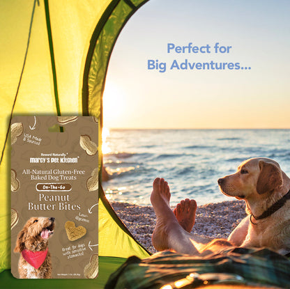 Dog Treats Vegan Peanut Butter Biscuit 1oz Travel 🥜