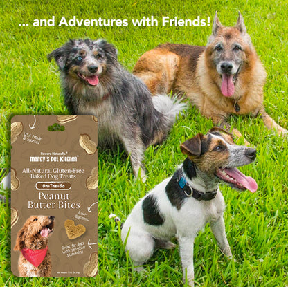 Dog Treats Vegan Peanut Butter Biscuit 1oz Travel 🥜