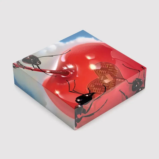 Obsession By Jiayi 1000 Piece Limited Edition Jigsaw Puzzle Sulo