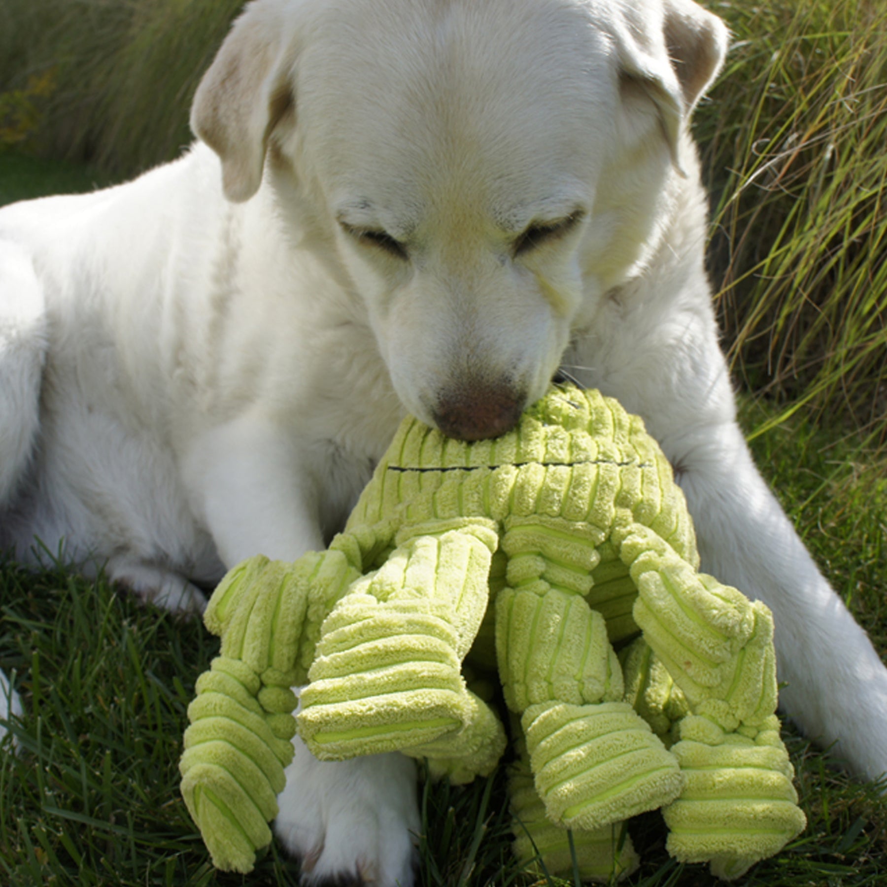 Dog Toy Octavie Octopus Knottie Plush Toy for Daily Use - gallery product image for dog toy