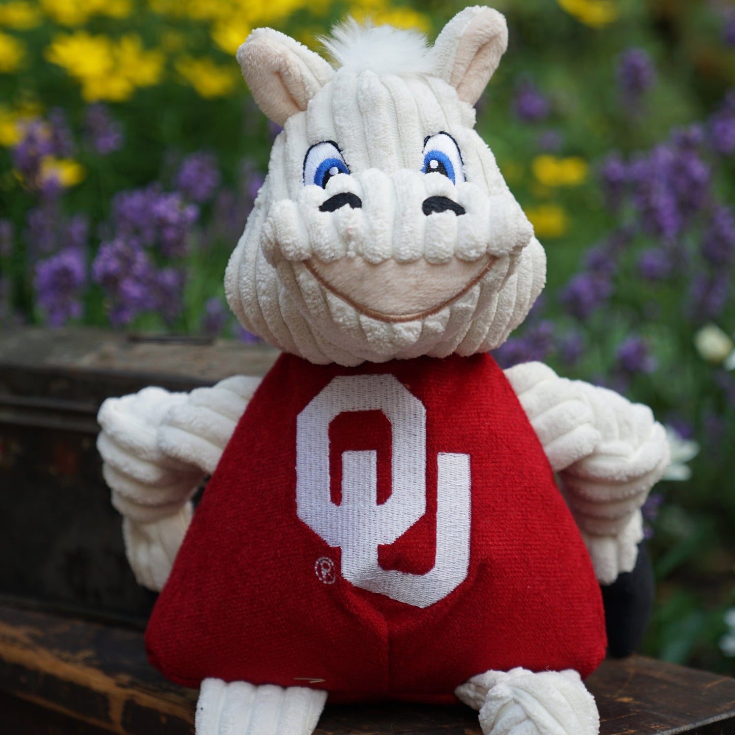 Dog Toy NCAA University of Oklahoma Sooner Knottie Plush Toy - gallery product image for dog toy