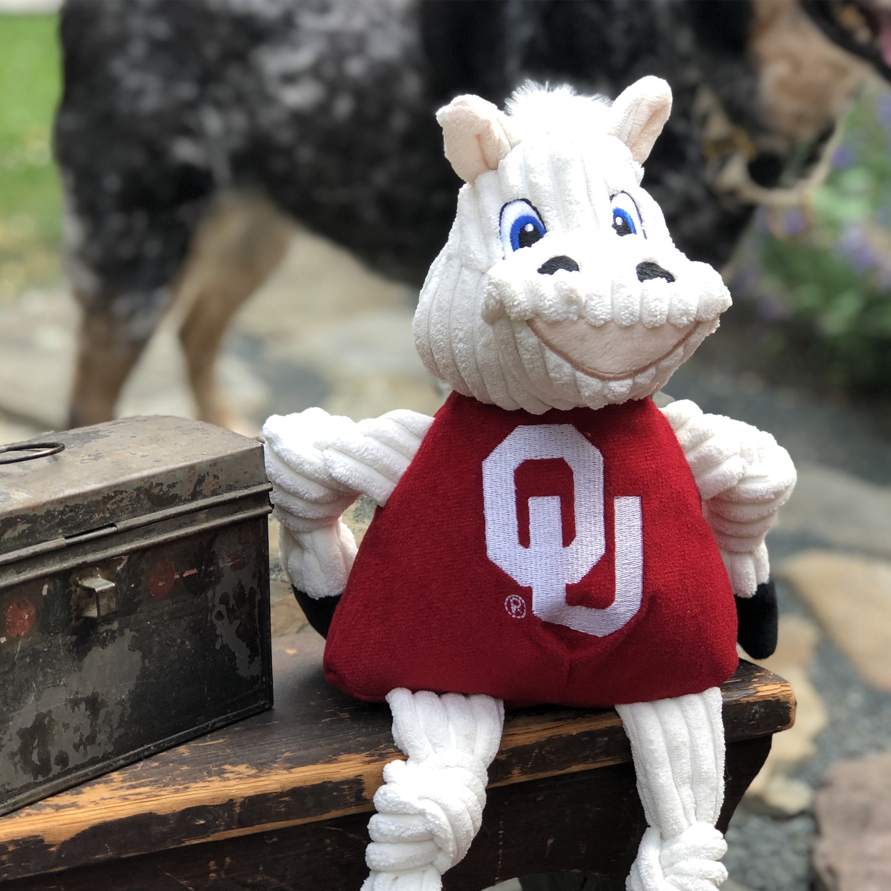 Dog Toy NCAA University of Oklahoma Sooner Knottie Plush Toy - size and texture image for dog toy