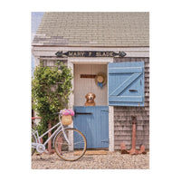 Old Wharf Cottage Nantucket 1000 Piece Jigsaw Puzzle Galison