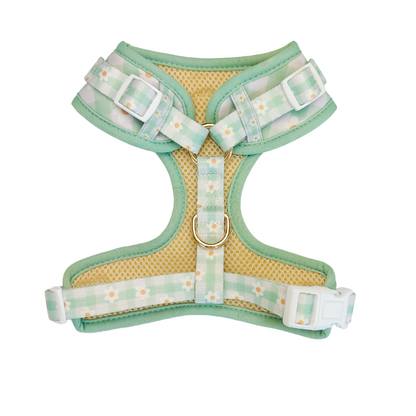 Oopsie Daisy Adjustable Dog Harness Breathable Neoprene Pet: Mint green daisy gingham, mesh lining, gold metal D-rings.