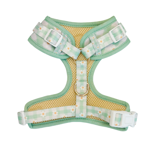 Oopsie Daisy Adjustable Dog Harness Breathable Neoprene Pet: Mint green daisy gingham, mesh lining, gold metal D-rings.