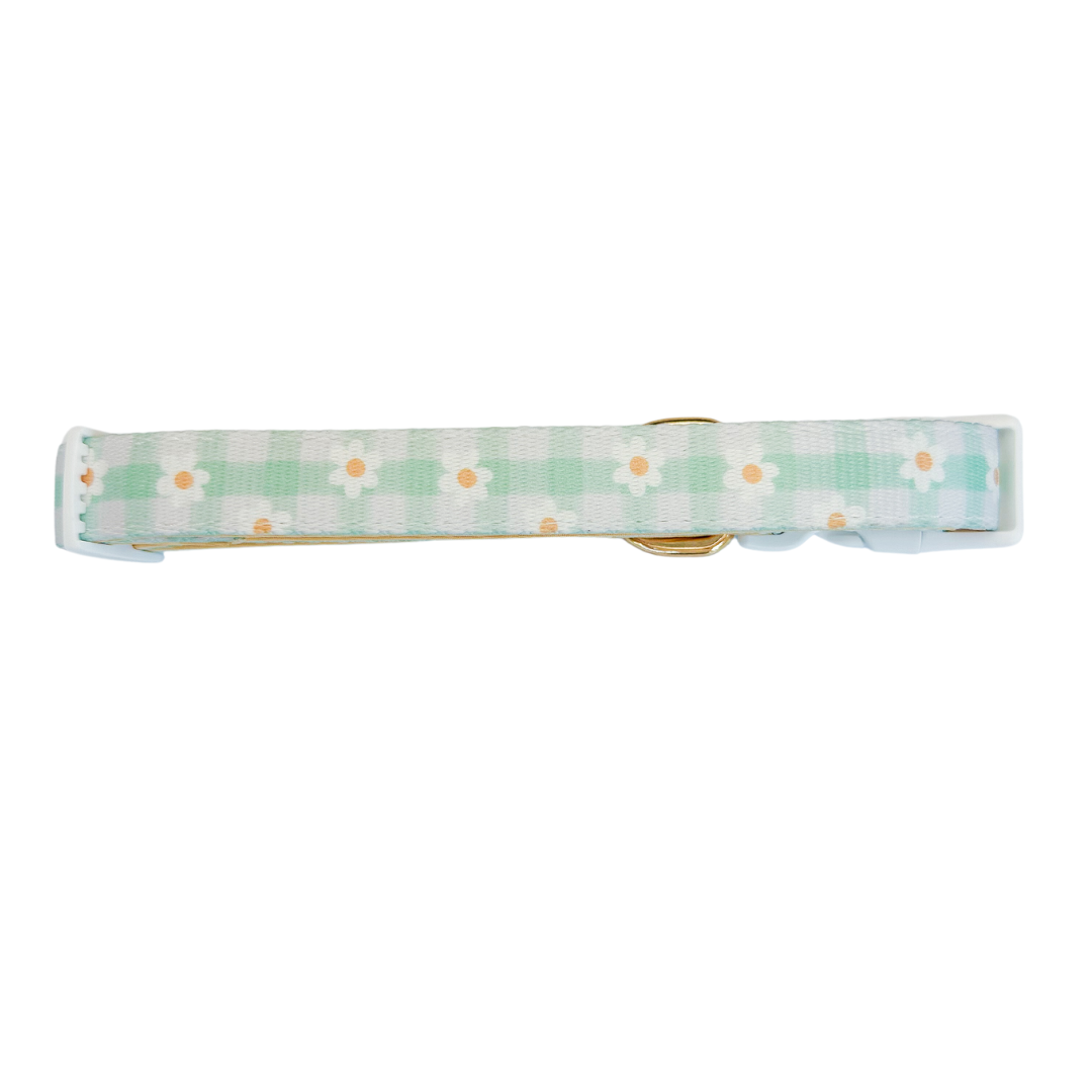 Purrfect Pet Kingdom Dog Collar - Oopsie Daisy