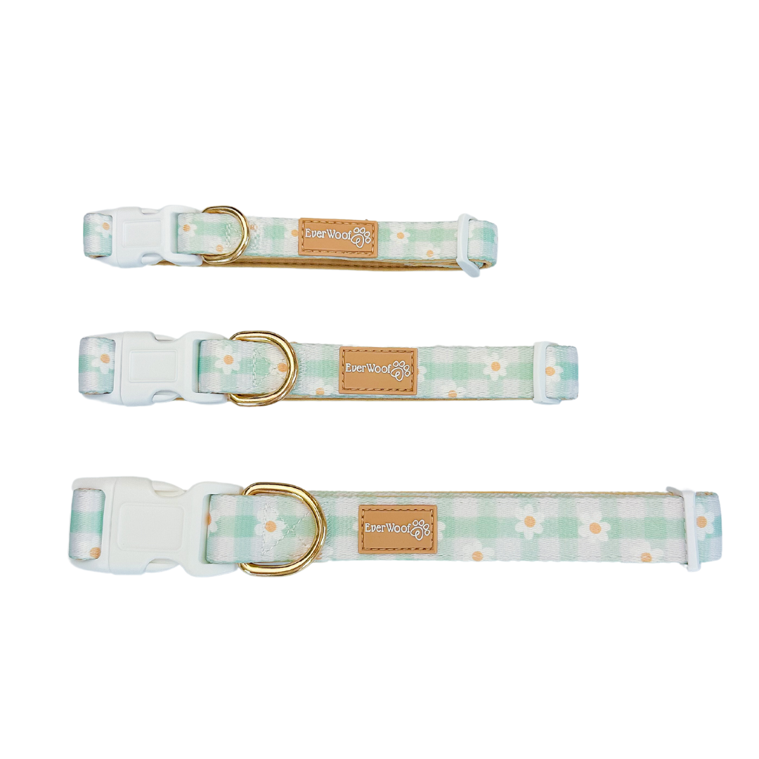 Purrfect Pet Kingdom Dog Collar - Oopsie Daisy