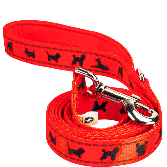Dog Leash EcoBark Safety Orange Leash- Padded Comfort Grip - main product image for dog leash