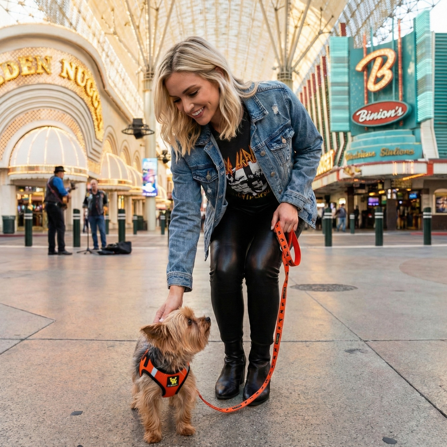 Dog Harness EcoBark Step In Harness XXXS to Small Breeds- - lifestyle product image for dog harness