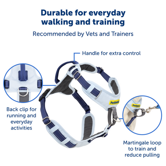 Petsafe Dog Easy Walk Comfort Harness Blue Adjustable Dog - detail view