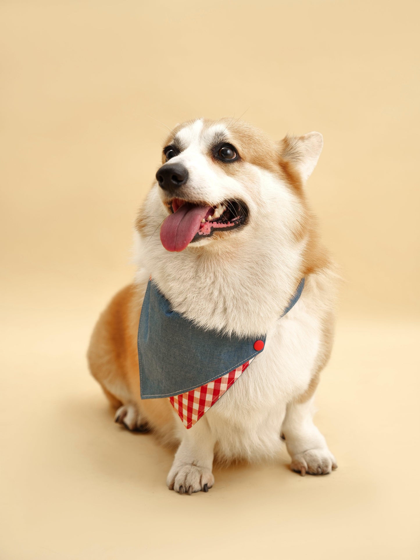 Park Day Denim Gingham Print Handmade Bandana - Dog Bandana - BarkBarkBaby