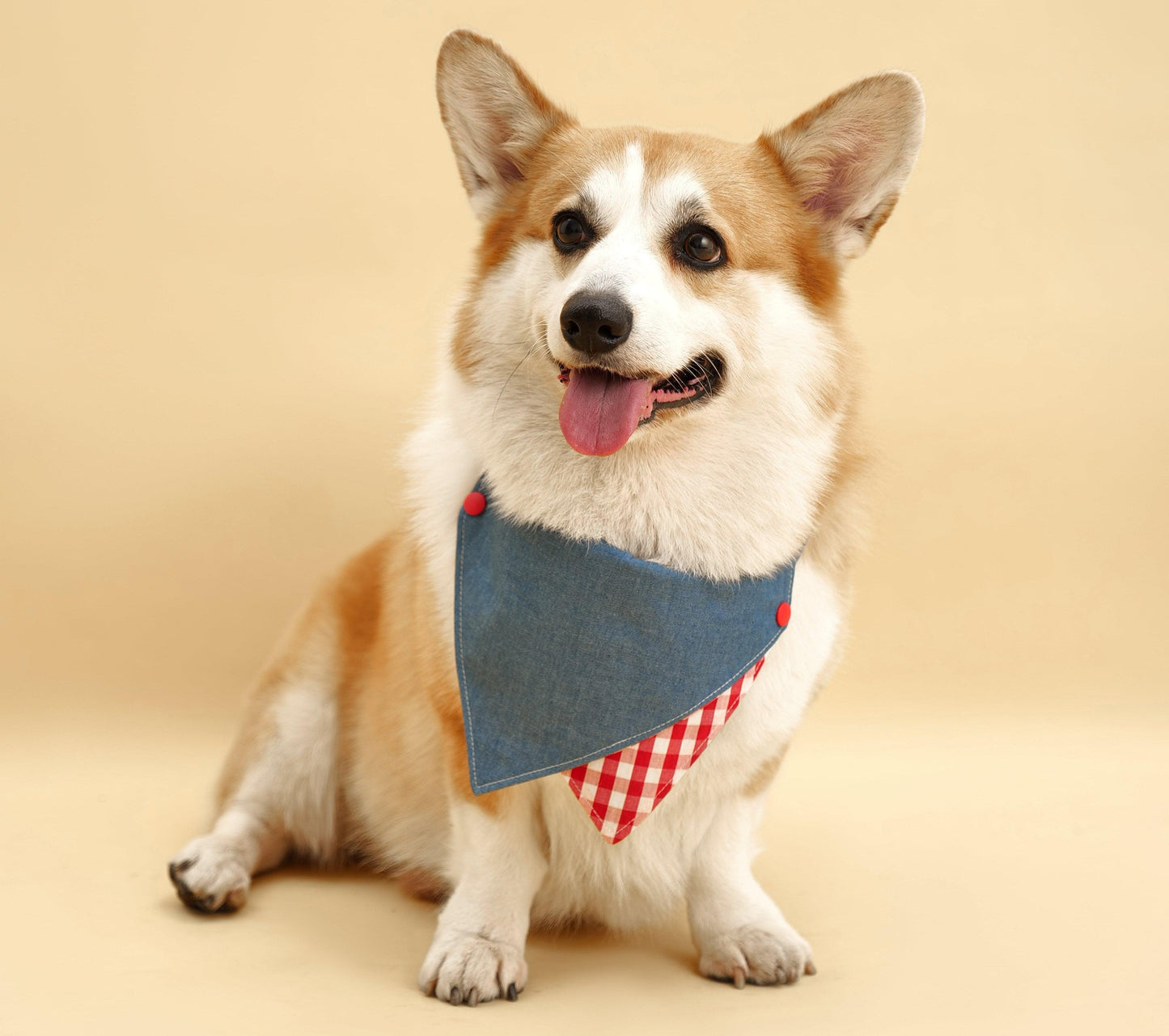 Park Day Denim Gingham Print Handmade Bandana - Dog Bandana - BarkBarkBaby