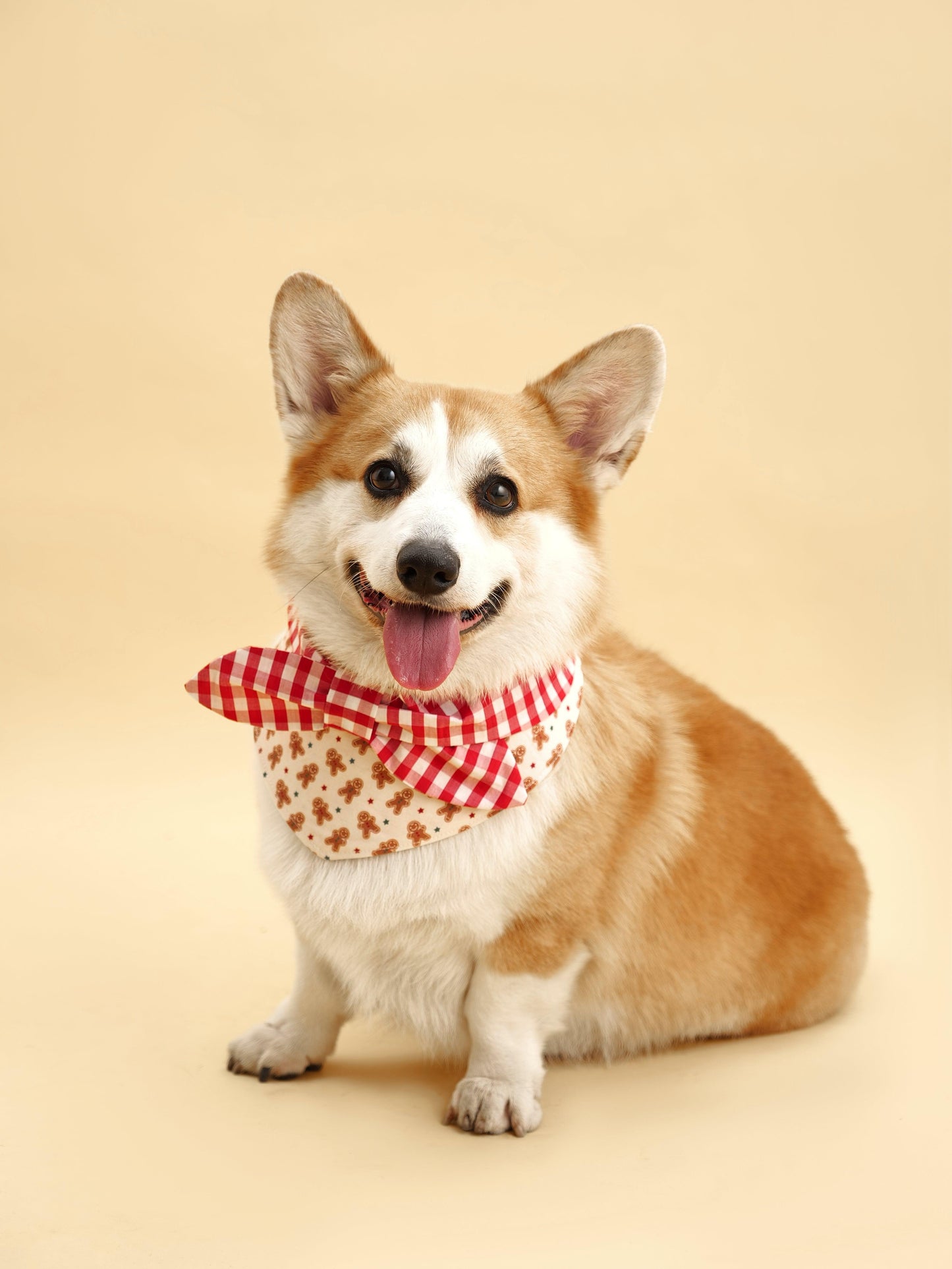 Christmas Morning Gingerbread Man Gingham Print Handmade Bandana - Dog Bandana - BarkBarkBaby