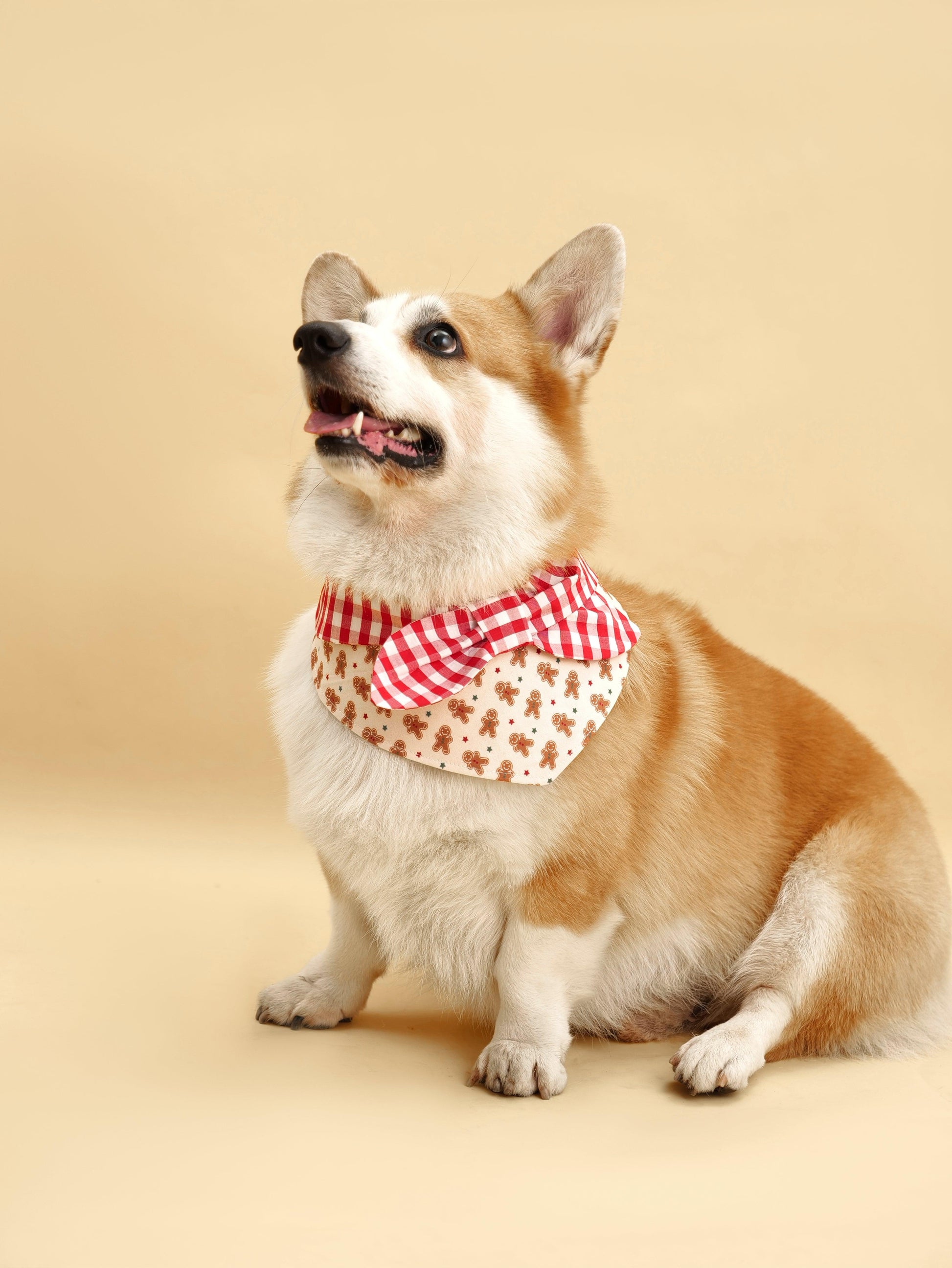 Christmas Morning Gingerbread Man Gingham Print Handmade Bandana - Dog Bandana - BarkBarkBaby