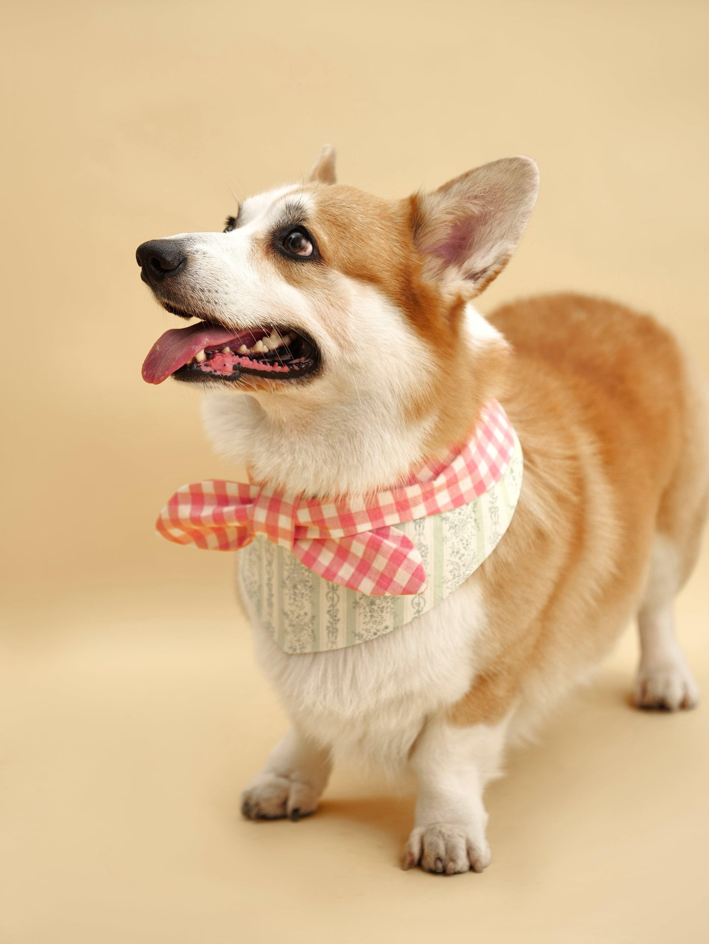 Picnic Bliss Floral Gingham Print Bandana - Dog Bandana - BarkBarkBaby