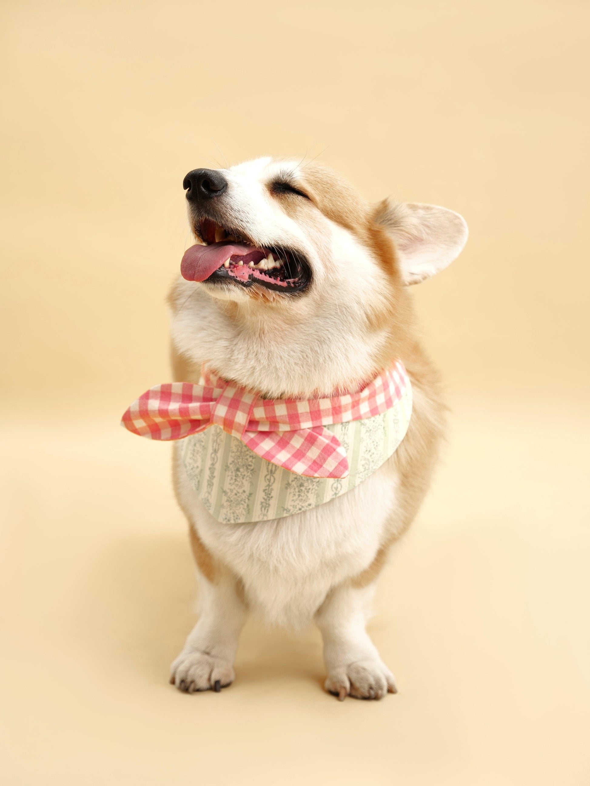 Picnic Bliss Floral Gingham Print Bandana - Dog Bandana - BarkBarkBaby