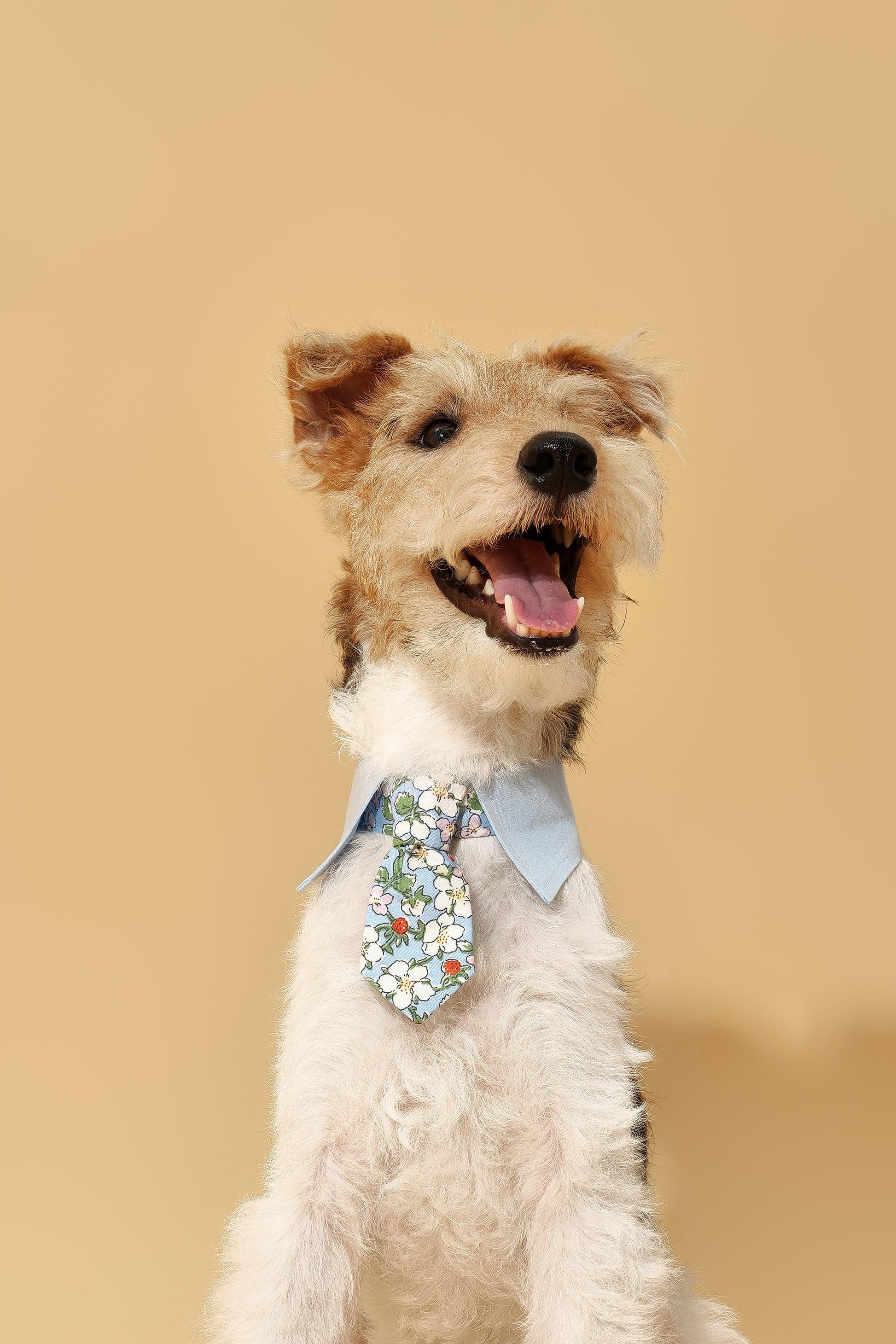 Blue Botanique Necktie Bandana - Bandana - BarkBarkBaby