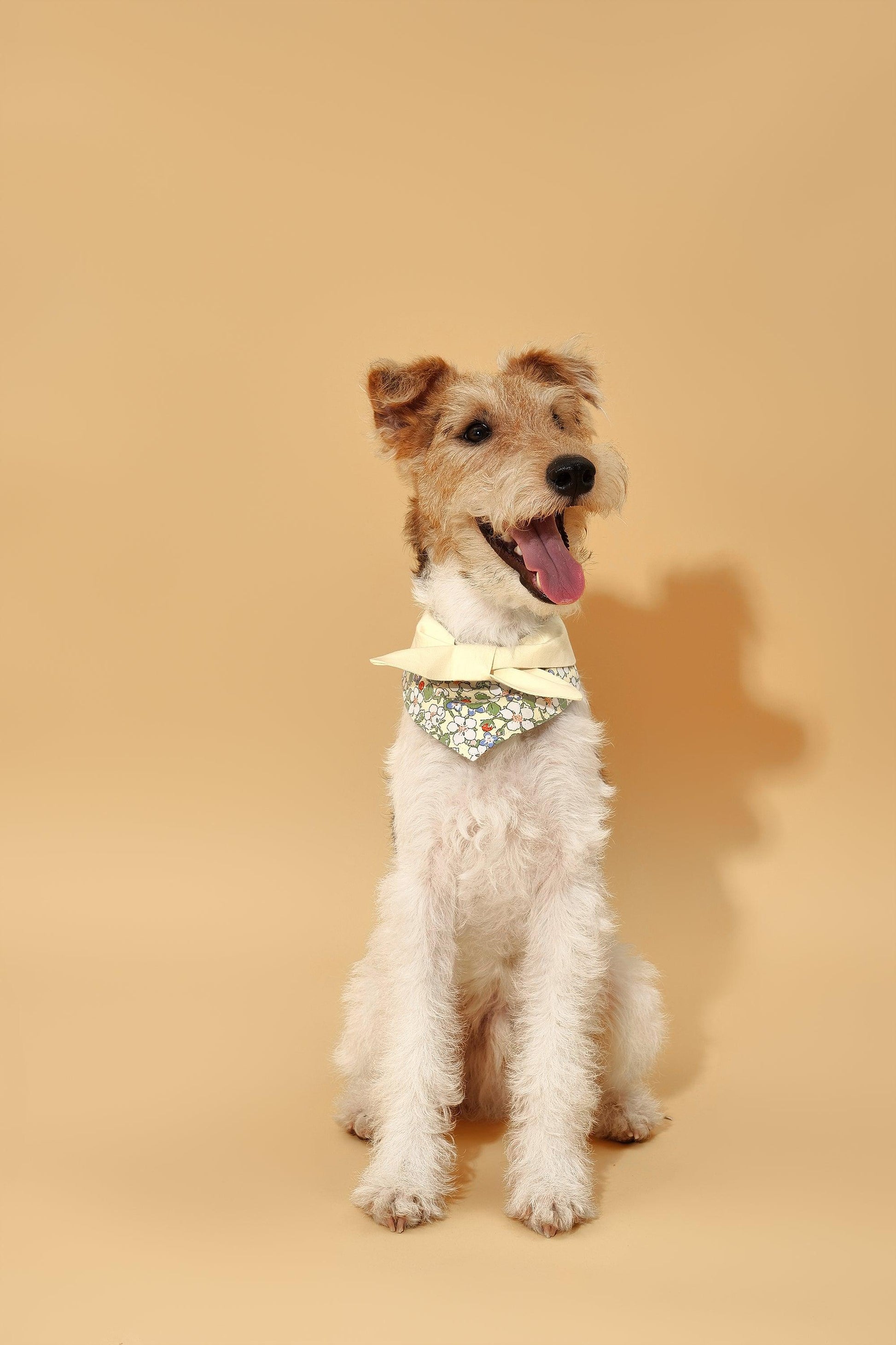 Bowtiful Garden Butter Yellow Floral Bandana - Dog Bandana - BarkBarkBaby