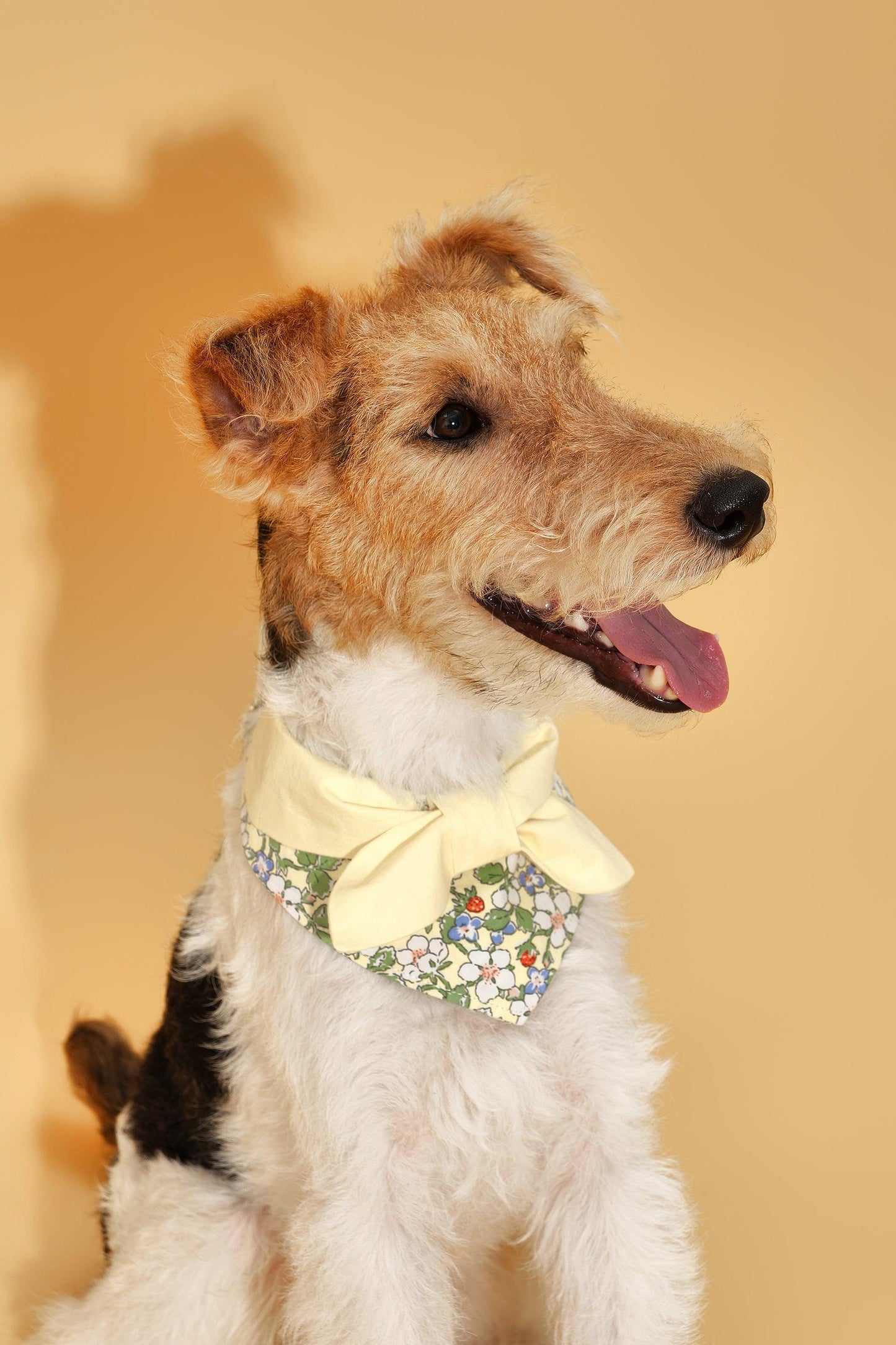 Bowtiful Garden Butter Yellow Floral Bandana - Dog Bandana - BarkBarkBaby