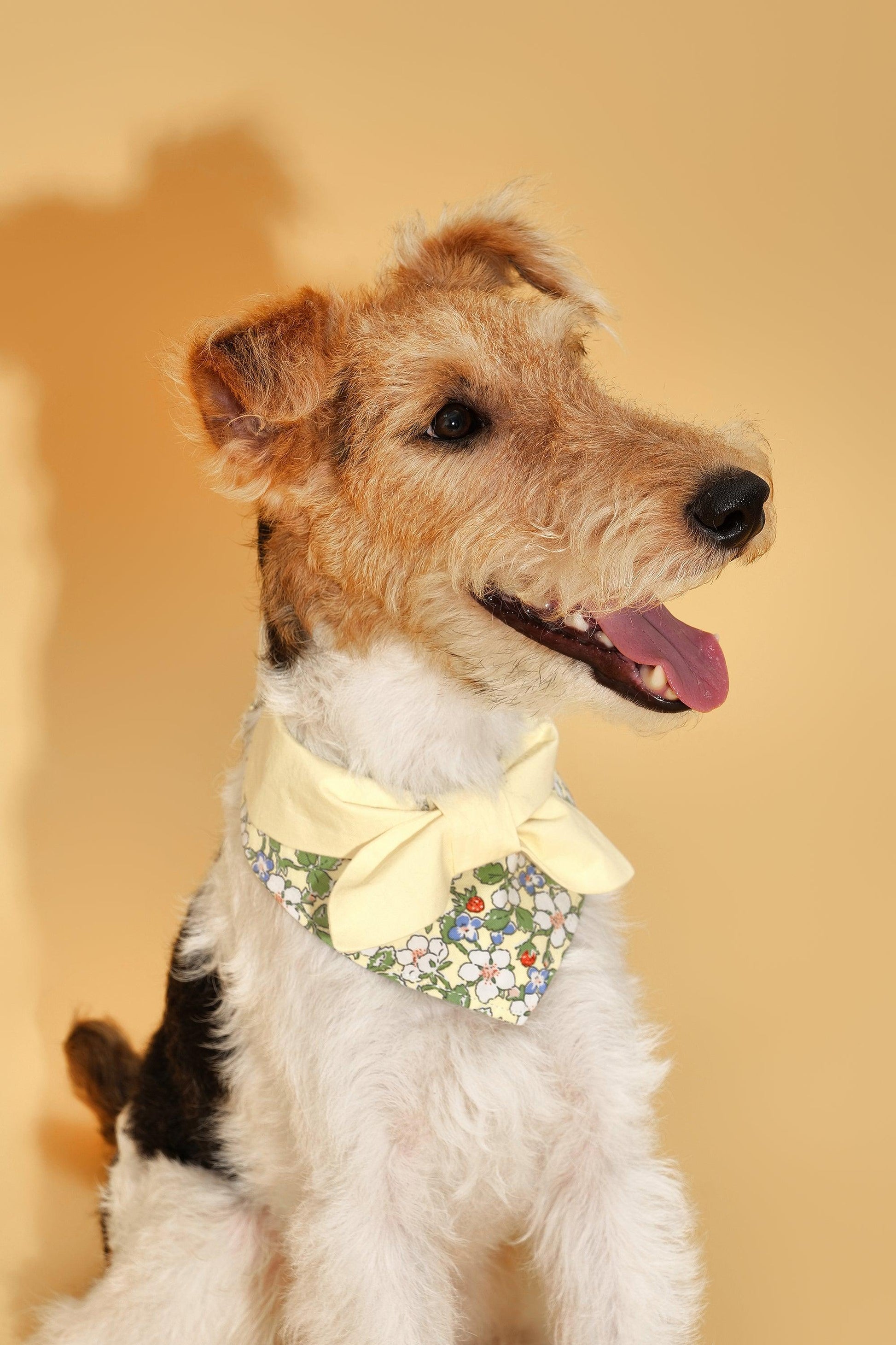 Bowtiful Garden Butter Yellow Floral Bandana - Dog Bandana - BarkBarkBaby