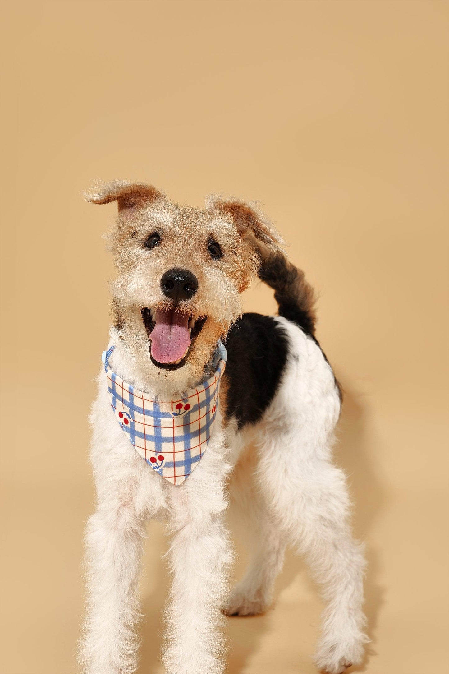 Blue Gingham Cherry Bandana - Dog Bandana - BarkBarkBaby