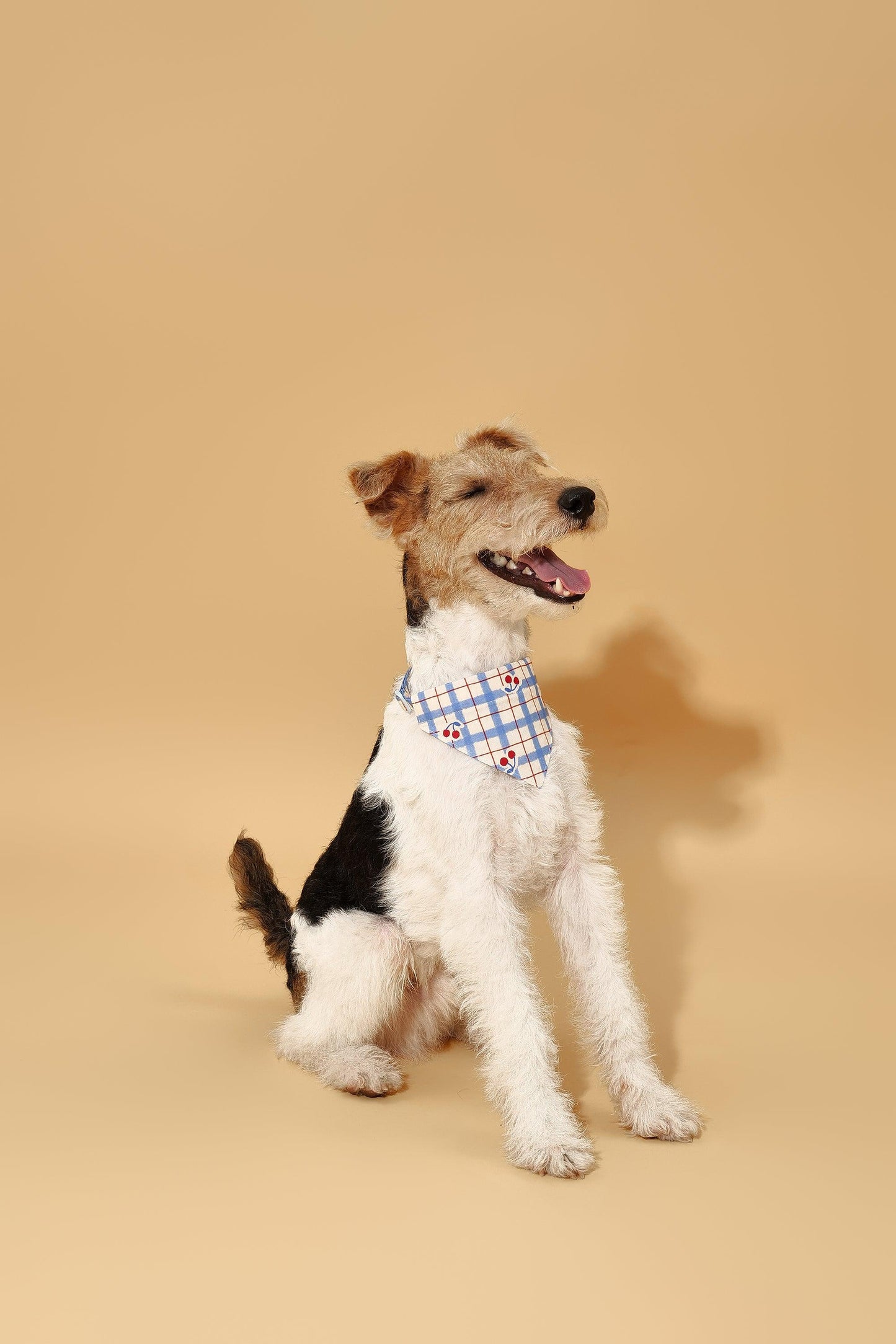 Blue Gingham Cherry Bandana - Dog Bandana - BarkBarkBaby