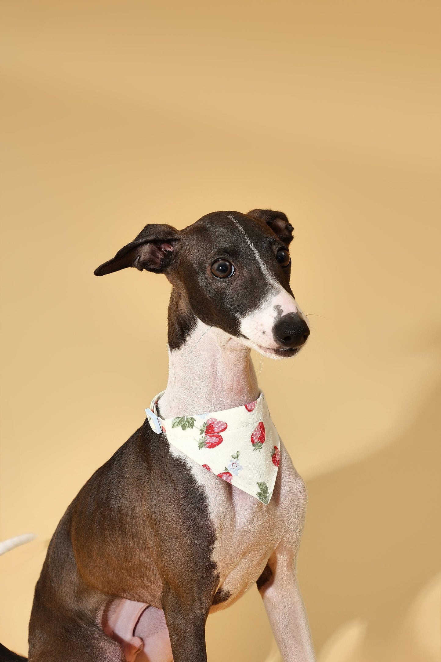 Strawberry Fields Butter Yellow Triangle Bandana - Dog Bandana - BarkBarkBaby