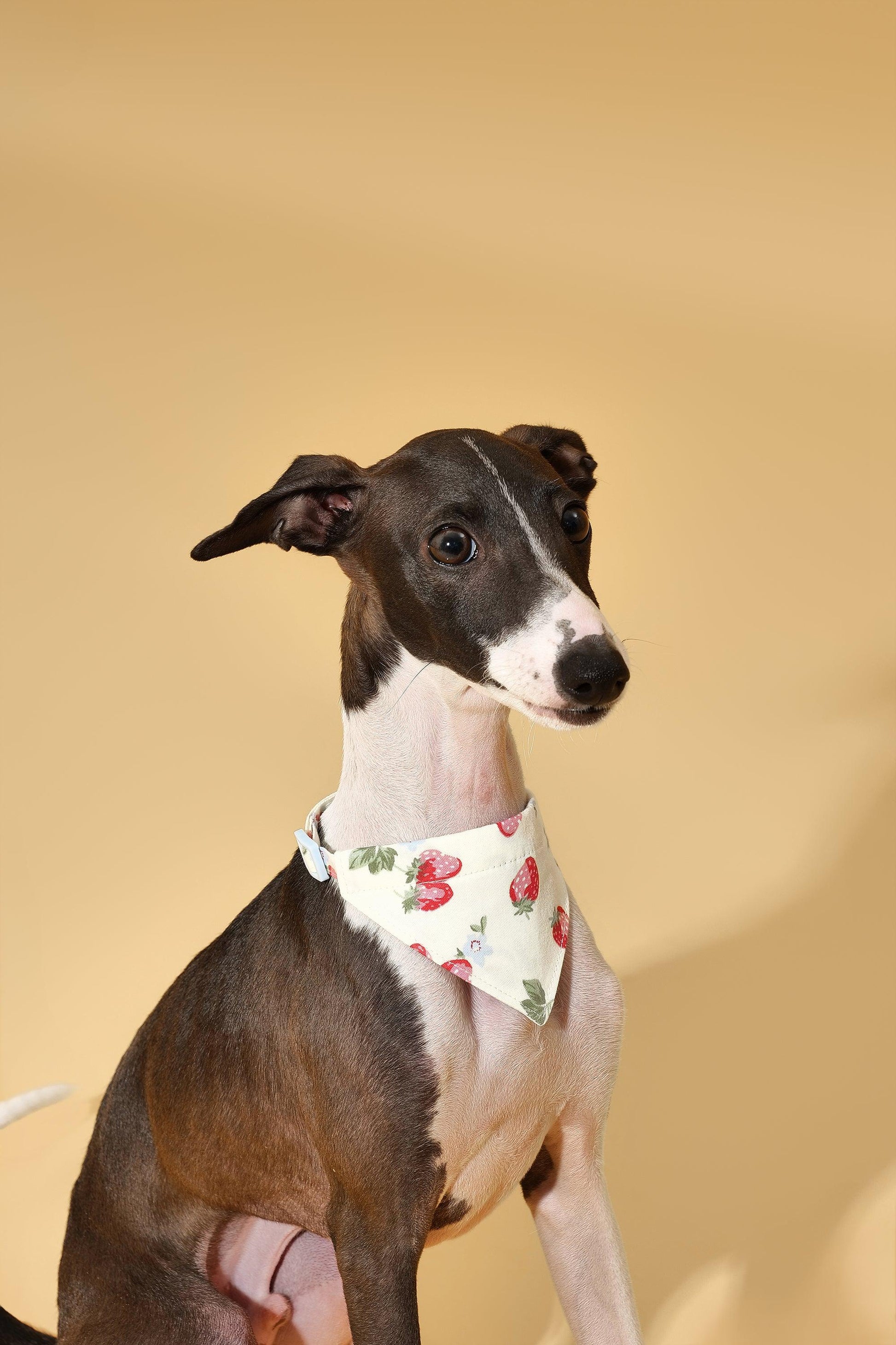 Strawberry Fields Butter Yellow Triangle Bandana - Dog Bandana - BarkBarkBaby