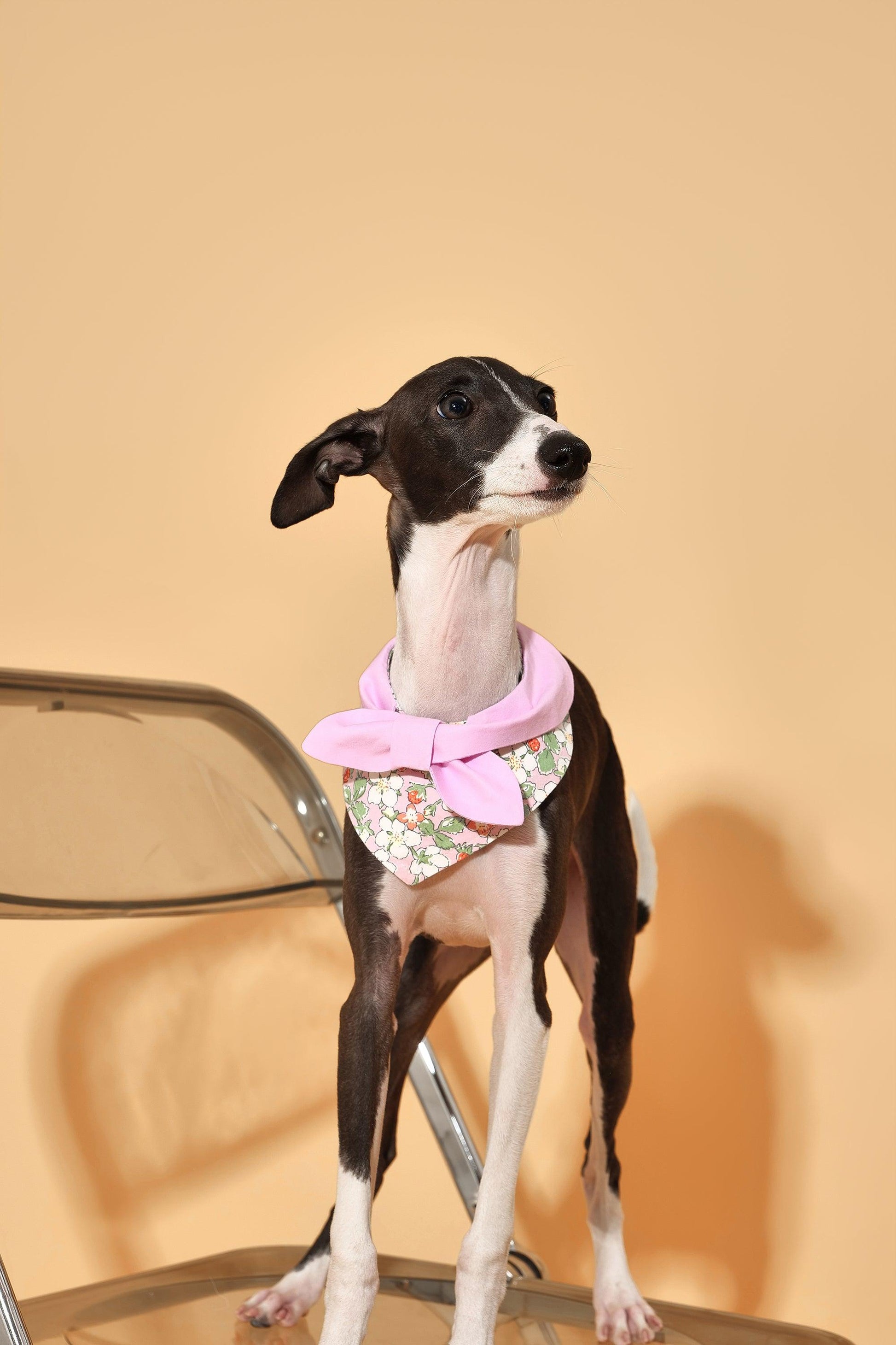 Bowtiful Garden Pink Floral Bandana - Dog Bandana - BarkBarkBaby