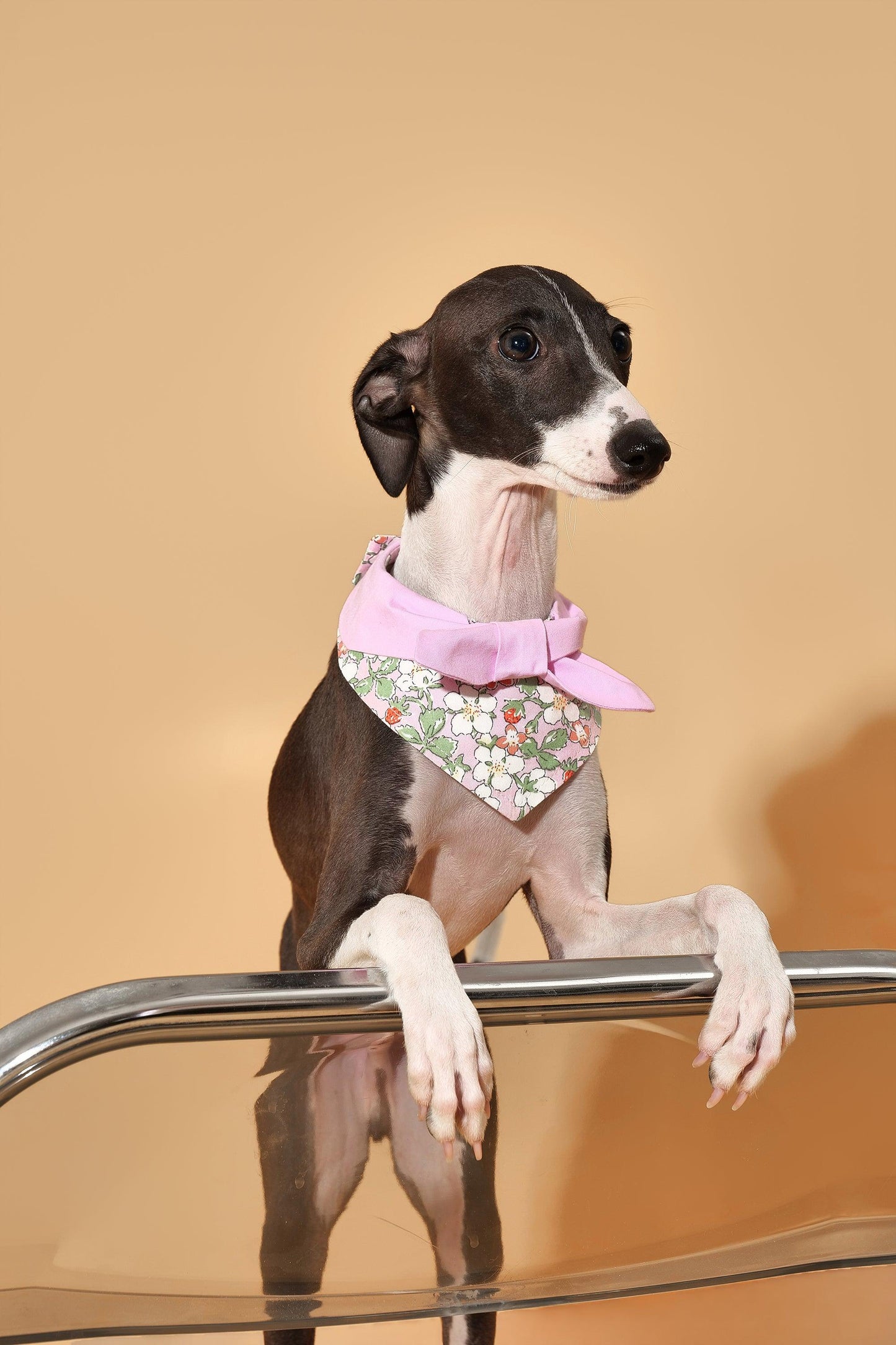 Bowtiful Garden Pink Floral Bandana - Dog Bandana - BarkBarkBaby