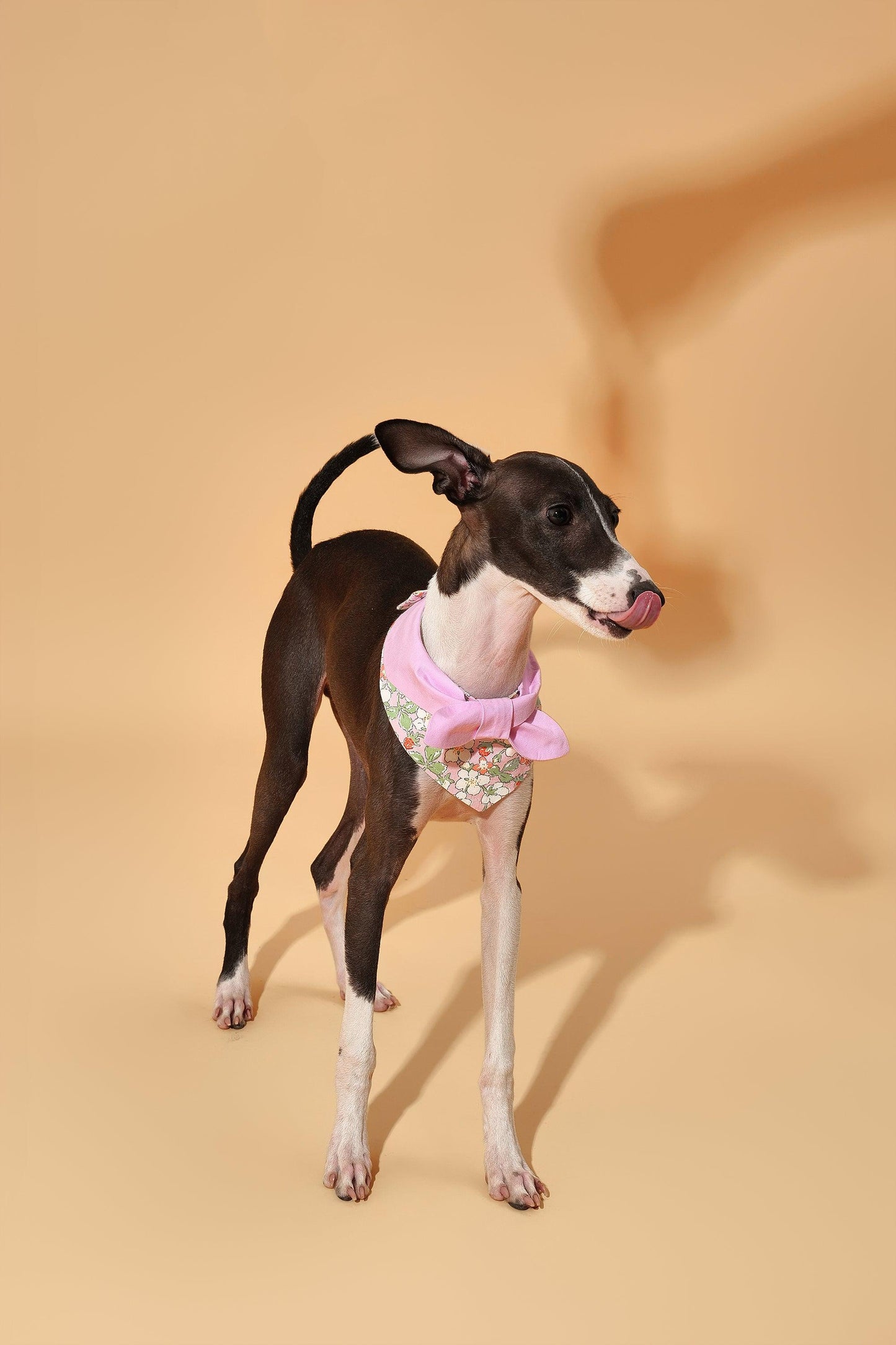 Bowtiful Garden Pink Floral Bandana - Dog Bandana - BarkBarkBaby